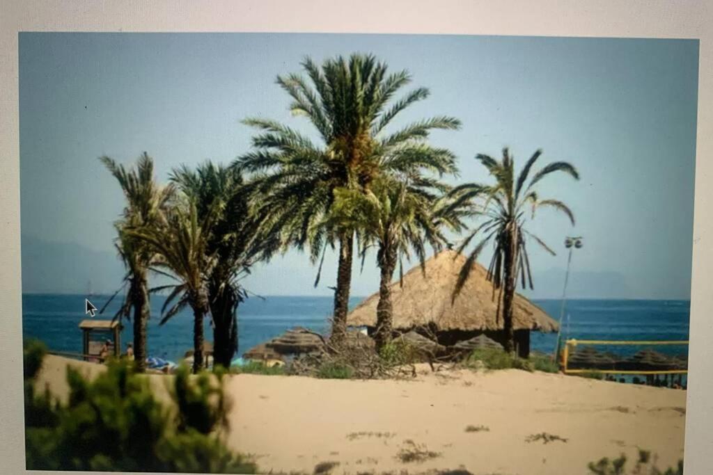 הוילה גראן אלקנט Casa Makis מראה חיצוני תמונה